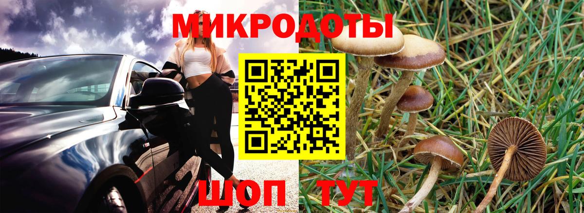 Галлюциногенные грибы MAGIC MUSHROOMS  Вход с VPN  Донецк 